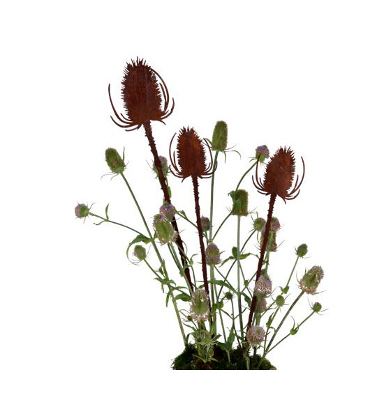 Blumenstecker Gartenstecker Distel 80 cm hoch + 10 cm Stecker - groß 
Höhe 80 cm
+ 15 cm Steckstab
Höhe Blüte 17 cm
Breite B