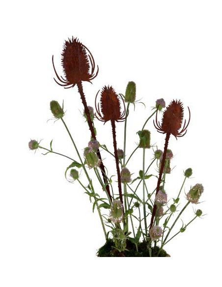 Blumenstecker Gartenstecker Distel 80 cm hoch + 10 cm Stecker - groß 
Höhe 80 cm
+ 15 cm Steckstab
Höhe Blüte 17 cm
Breite B