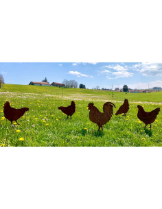 Tiere - Edelrost Tierfiguren Stehendes Huhn - 39 cm hoch Stehendes Huhn auf einer Platte.
Höhe 39 cm
Breite 34 cm
 2