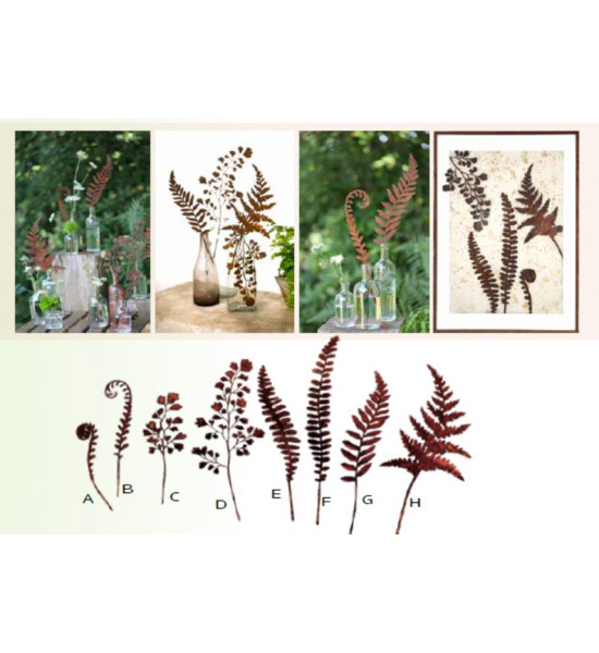 Deko Farn Deko Frauenhaarfarn Gartenstecker Mini Nr. C - mit feinen Blättern - Höhe 29 cm 
Höhe 29 cm
Breite 11 cm
