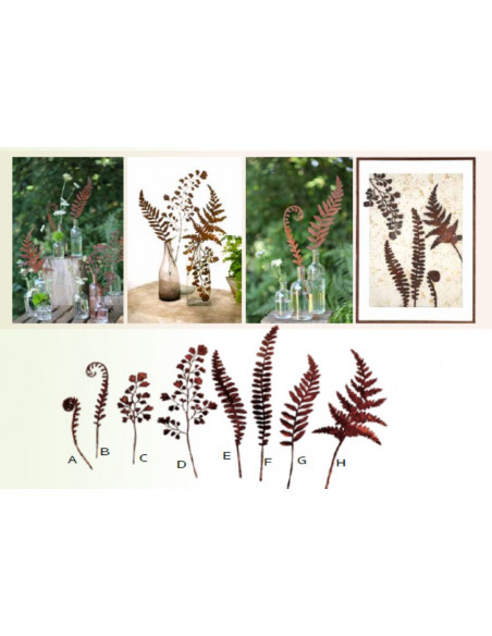 Deko Farn Deko Frauenhaarfarn Gartenstecker Mini Nr. C - mit feinen Blättern - Höhe 29 cm 
Höhe 29 cm
Breite 11 cm
