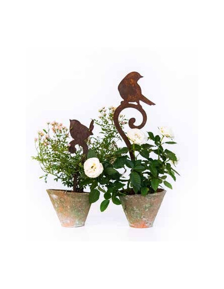 Start kleiner Vogel auf Curl sitzend - Direktstecker Gr.1 29 cm hoch 