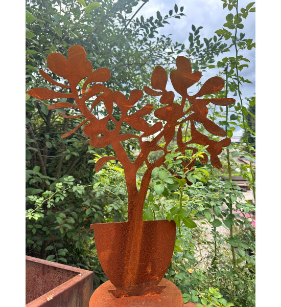 Blumen und Bäume Crassula ovata im Topf, auf Platte, Höhe - 60cm Crassula ovata im Topf, auf Platte

Höhe 60 cm
