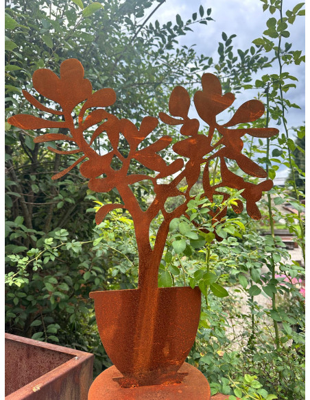 Blumen und Bäume Crassula ovata im Topf, auf Platte, Höhe - 60cm Crassula ovata im Topf, auf Platte

Höhe 60 cm
