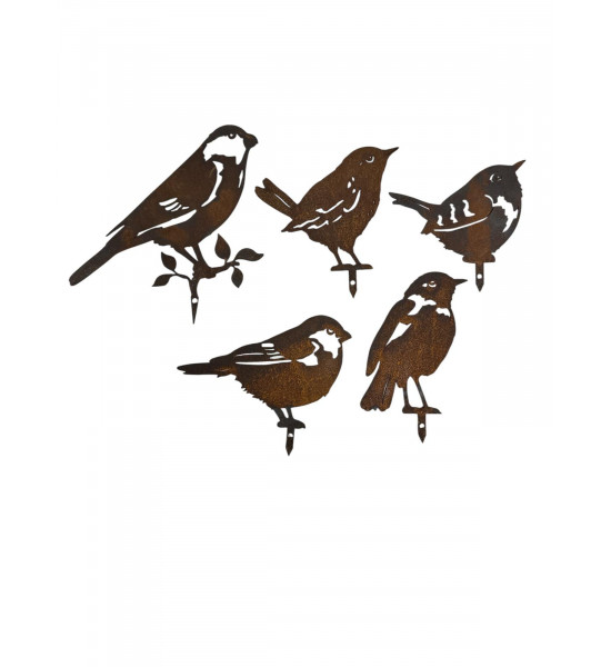 Start Direktstecker Zaunkönig Direktstecker - Höhe 10 cm 