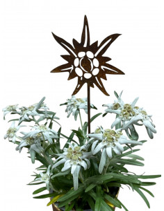 Start Edelweiss mini Stecker - Ø 10 cm - Höhe 45 cm 
Ø 10 cm
Höhe 45 cm