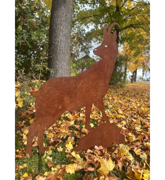 Steinbock + Murmeltier Deko  Gemse XXL 120 cm hoch rostige Gams 
unsere Metall Gemse in XXL Format beinahe lebensgroß ist ein B