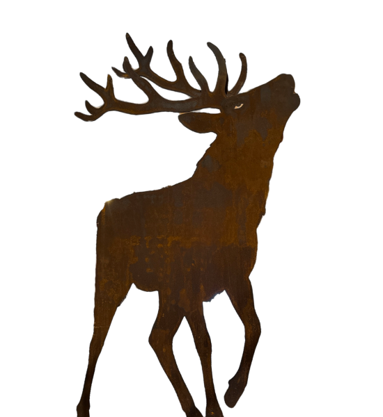 Hirsche, Wildtiere und Waldbewohner Röhrender XXL Hirsch mit doppeltem Geweih auf großer Platte - Höhe 180 cm 
Höhe 180 cm
Bre