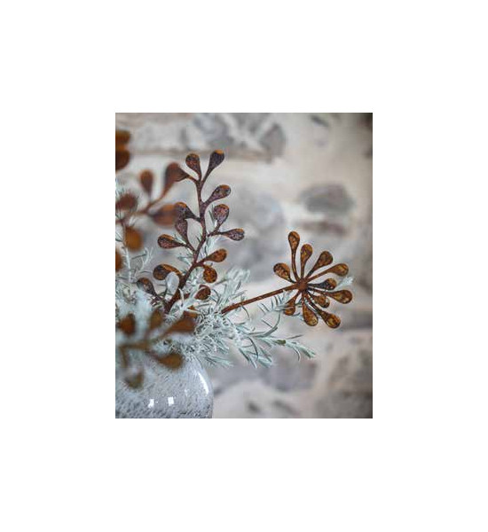 Start Safiore Sternblüte - A - Dierektstecker Safiore "A" Sternblüte 