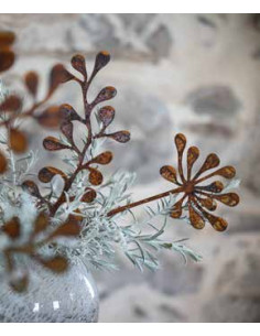 Blumen und Bäume Safiore Sternblüte - B - Direktstecker - Höhe 30 cm Gartenstecker Sternblüte - Safiore 

Höhe 30 cm
Breite 1 2