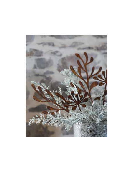 Blumen und Bäume Safiore Sternblüte - B - Direktstecker - Höhe 30 cm Gartenstecker Sternblüte - Safiore 

Höhe 30 cm
Breite 1