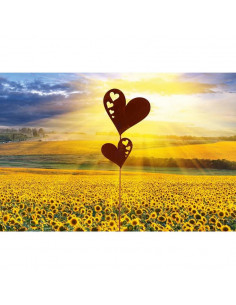 Gartenstecker Herz Gartenstecker - 2 Herzen mit Herzausschnitt - 24 cm 
Höhe 24 cm
Breite 18 cm
Stab länge 40 cm 2