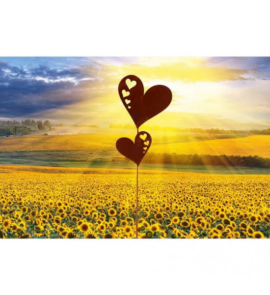 Gartenstecker Gartenstecker - 2 Herzen mit Herzausschnitt - 24 cm 
Höhe 24 cm
Breite 18 cm
Stab Länge 40 cm
