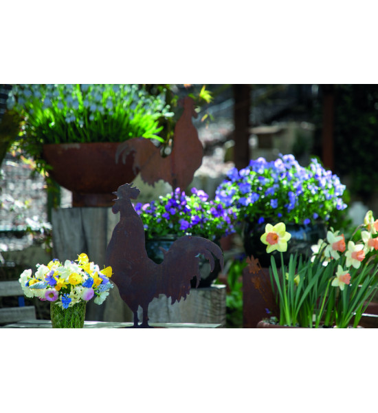 Hühner, Gockel und Küken Krähender Deko Hahn - klein - Höhe 36 cm 
Höhe 36 cm
Breite 29 cm
