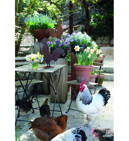 Hühner, Gockel und Küken Krähender Deko Hahn - klein - Höhe 36 cm 
Höhe 36 cm
Breite 29 cm
