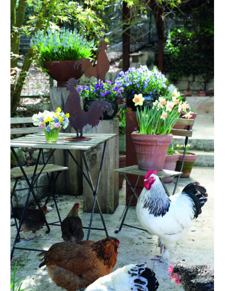 Hühner, Gockel und Küken Krähender Deko Hahn - klein - Höhe 36 cm 
Höhe 36 cm
Breite 29 cm
