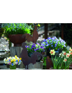 Hühner, Gockel und Küken Krähender Deko Hahn - groß - Höhe 43 cm 
Höhe 43 cm
Breite 35 cm
 2