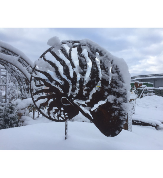 Maritime Deko Deko Muschel - Nautilus - klein - 27 x 32 cm aus Metall mit Standplatte 
Maritime Deko mit Muscheln im Garten ist