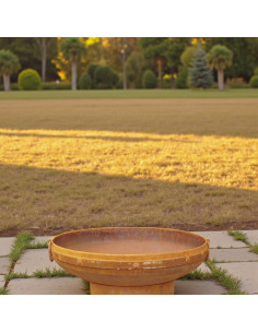 Feuerschalen Feuerstelle Vikings Ø 70 cm 

massive schwere Feuerschale mit Tragegriffen
70 cm Durchmesser
Höhe 26 cm
massiv 2