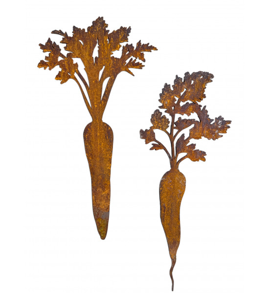 Gemüsestecker Karotten Direktstecker - 2-er set - Höhe 28  cm H28cm, B11cm &amp; 15cm, VE6