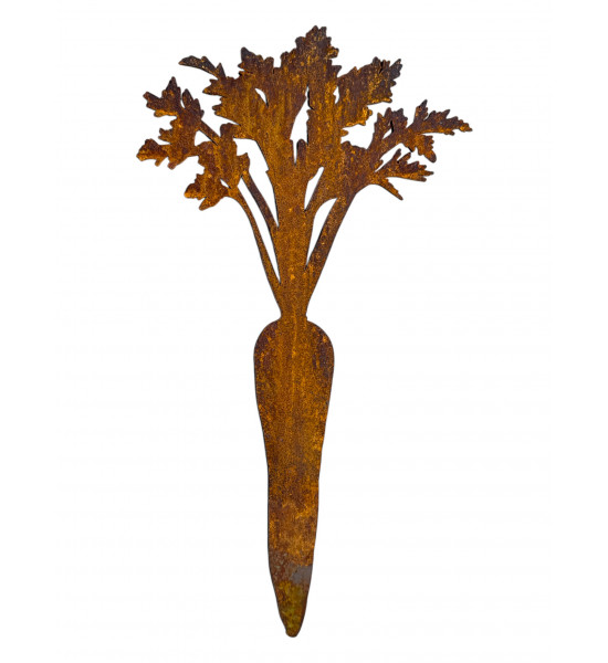 Gemüsestecker Karotten Direktstecker - 2-er set - Höhe 28  cm H28cm, B11cm &amp; 15cm, VE6