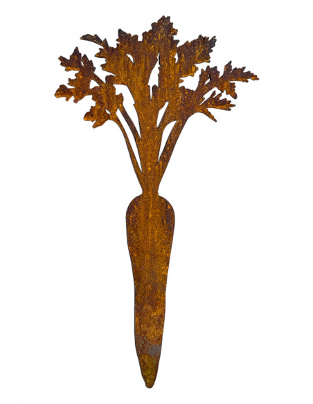 Gemüsestecker Karotten Direktstecker - 2-er set - Höhe 28  cm H28cm, B11cm &amp; 15cm, VE6