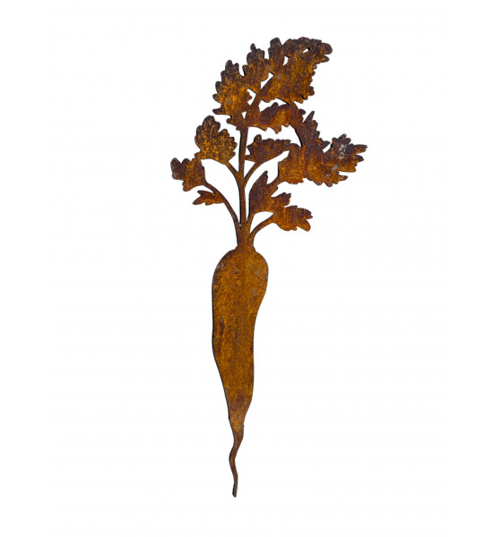 Gemüsestecker Karotten Direktstecker - 2-er set - Höhe 28  cm H28cm, B11cm &amp; 15cm, VE6