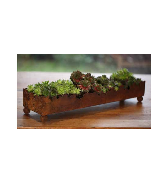 Start Risstablett auf Kugeln - eckiges - Länge 60 cm L60cm, B15cm, H11cm, VE2