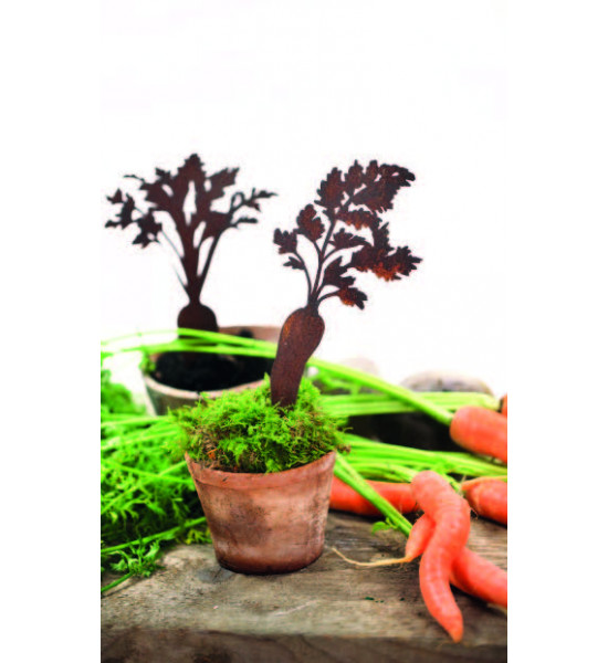 Gemüsestecker Karotten Direktstecker - 2-er Set - Höhe 28  cm 
2 Karotten zum Aufhängen
Höhe 28 cm
Breite 11 cm &amp; 15 cm
