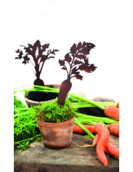 Gemüsestecker Karotten Direktstecker - 2-er Set - Höhe 28  cm 
2 Karotten zum Aufhängen
Höhe 28 cm
Breite 11 cm &amp; 15 cm
