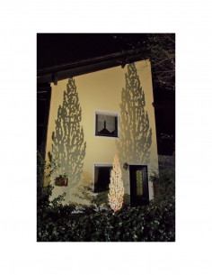 Blumen und Bäume Edelrost Zypresse - Toscana - Höhe 200 cm - mit Hülse 
Edelrost-Zypresse für den Garten als Metallskulptur
Hö 2