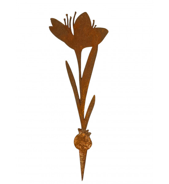 Frühblüher - Frühlingsblumen Krokus Direktstecker - Höhe 19 cm - Frühblüher 
Höhe 19 cm
Breite 6,5 cm
