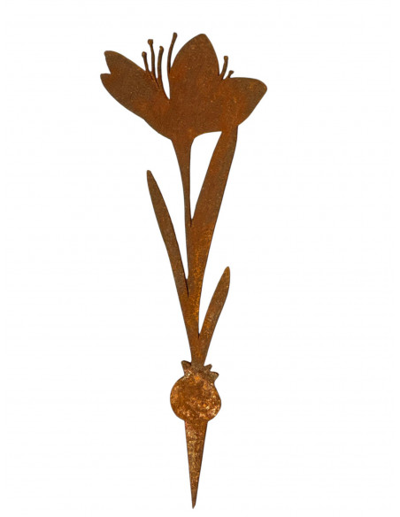 Frühblüher - Frühlingsblumen Krokus Direktstecker - Höhe 19 cm - Frühblüher 
Höhe 19 cm
Breite 6,5 cm
