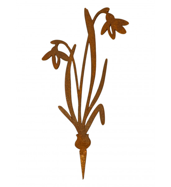 Frühblüher - Frühlingsblumen Schneeglöckchen Direktstecker - Höhe 20 cm - Frühblüher h 20 cm, b 10 cm, VE6