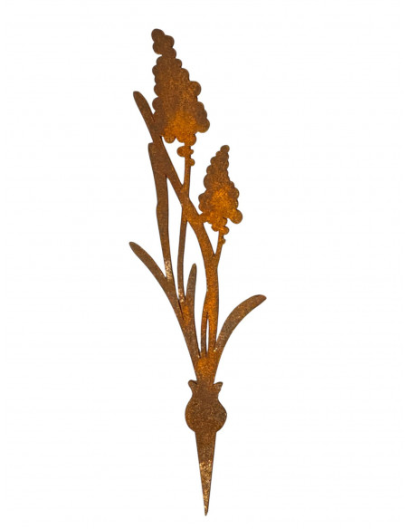 Frühblüher Traubenhyazinthe Direktstecker - Höhe 21 cm 
Höhe 21 cm
Breite 5,5 cm