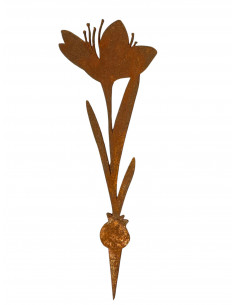 Frühblüher - Frühlingsblumen Narzisse Direktstecker - Höhe 26,5 cm - Frühblüher 
Höhe 26,5 cm
Breite 7,5 cm
