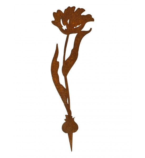 Frühblüher - Frühlingsblumen Tulpe Direktstecker - Höhe 27 m - Frühblüher 
Höhe 27 cm
Breite 8 cm
