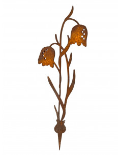 Frühblüher - Frühlingsblumen Schachbrettblume Direktstecker - Höhe 30 cm - Frühblüher 
Höhe 30 cm
Breite 10 cm
