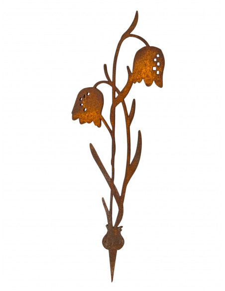 Frühblüher - Frühlingsblumen Schachbrettblume Direktstecker - Höhe 30 cm - Frühblüher 
Höhe 30 cm
Breite 10 cm
