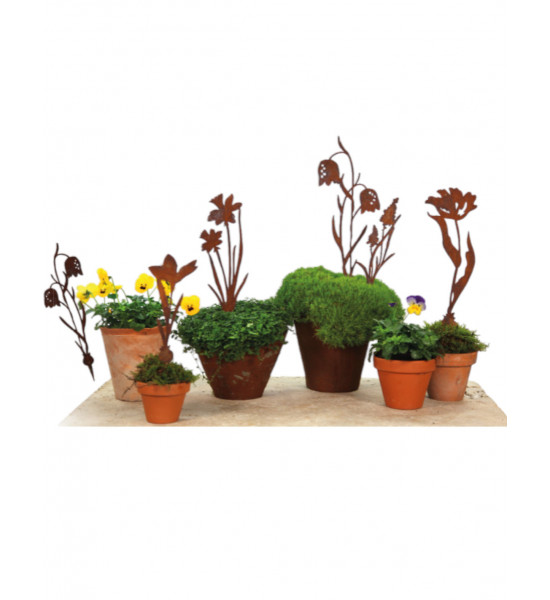 Frühblüher - Frühlingsblumen 7 Stk. Frühblüher Set - Direkrstecker 