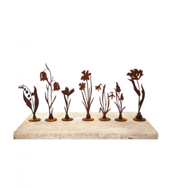 Frühblüher - Frühlingsblumen Tulpe auf Platte - Höhe 23 cm - Frühblüher 
Höhe 26 cm
Breite 8 cm
