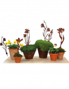 Frühblüher - Frühlingsblumen Schachbrettblume Direktstecker - Höhe 30 cm - Frühblüher 
Höhe 30 cm
Breite 10 cm
 2