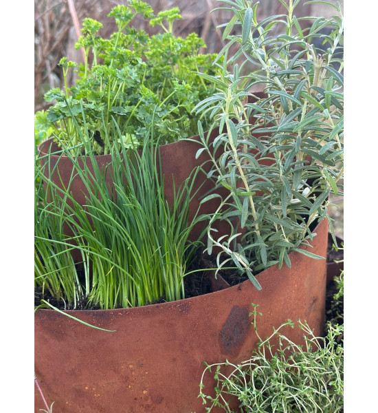 Kräuterschnecken Metall Kräuterschnecke - Grüne Insel - Ø 50 cm - Edelrost Kräuter Spirale 
Diese Kräuterschnecke hat die perfe