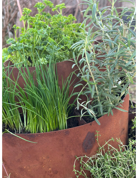 Kräuterschnecken Metall Kräuterschnecke - Grüne Insel - Ø 50 cm - Edelrost Kräuter Spirale 
Diese Kräuterschnecke hat die perfe