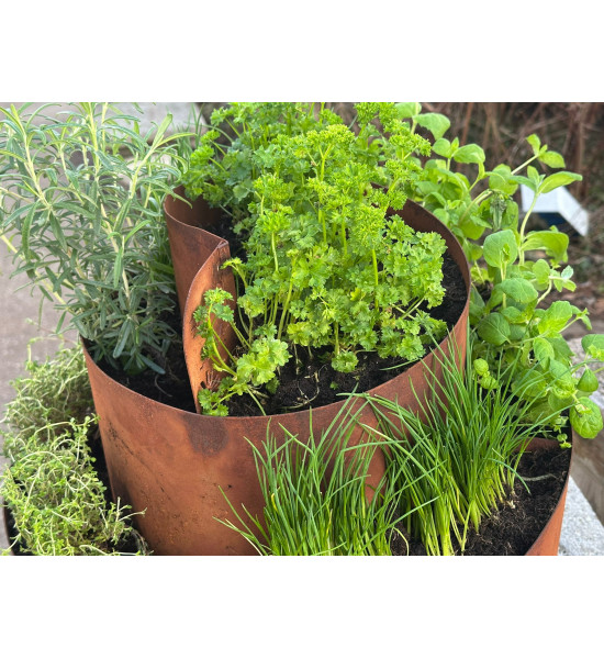 Kräuterschnecken Metall Kräuterschnecke - Grüne Insel - Ø 50 cm - Edelrost Kräuter Spirale 
Diese Kräuterschnecke hat die perfe