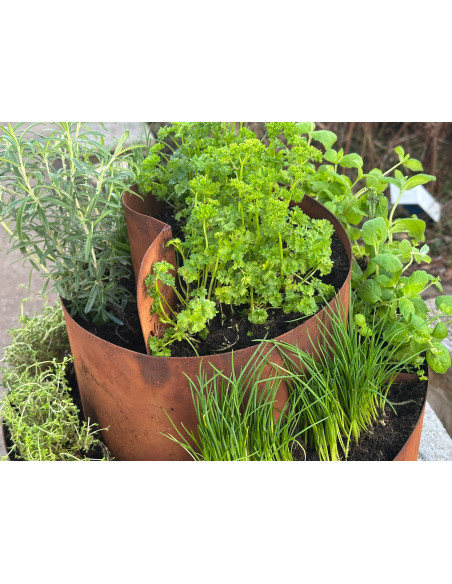 Kräuterschnecken Metall Kräuterschnecke - Grüne Insel - Ø 50 cm - Edelrost Kräuter Spirale 
Diese Kräuterschnecke hat die perfe