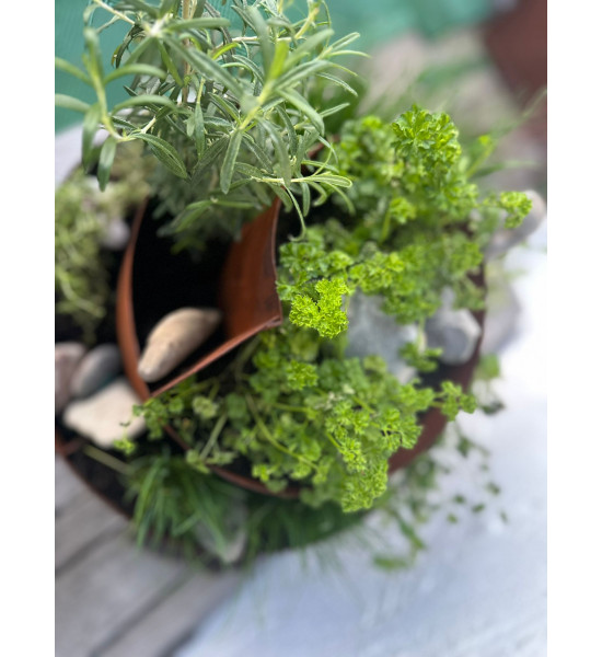 Kräuterschnecken Metall Kräuterschnecke - Grüne Insel - Ø 50 cm - Edelrost Kräuter Spirale 
Diese Kräuterschnecke hat die perfe