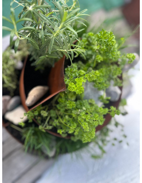 Kräuterschnecken Metall Kräuterschnecke - Grüne Insel - Ø 50 cm - Edelrost Kräuter Spirale 
Diese Kräuterschnecke hat die perfe