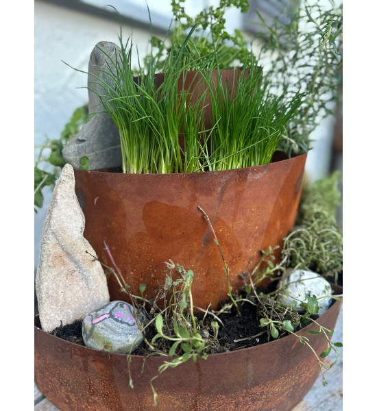 Kräuterschnecken Metall Kräuterschnecke - Grüne Insel - Ø 50 cm - Edelrost Kräuter Spirale 
Diese Kräuterschnecke hat die perfe