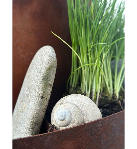 Kräuterschnecken Metall Kräuterschnecke - Grüne Insel - Ø 50 cm - Edelrost Kräuter Spirale 
Diese Kräuterschnecke hat die perfe